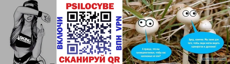 Купить Медвежьегорск Псилоцибиновые грибы Magic Shrooms